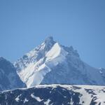 und natürlich Piz Bernina mit dem Bianco Grat