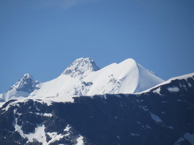 Blick zum Piz Roseg. Das Rosegtal, Chamanna Coaz und Tschierva kommen uns in den Sinn