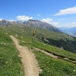 bei der Alp Clavadatsch erreichen wir die Weggabelung bei Punkt 2431 m.ü.M.