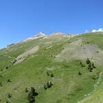 wir blicken zurück. Gut ersichtlich der zurückgelegte Wanderweg. Der Piz Padella ist auch gut erkennbar