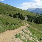 bei der Alp Munt erreichen wir bei Punkt 2235 m.ü.M. eine grosse Wegkreuzung