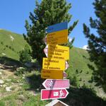 beim Wegweiser wandern wir weiter geradeaus...