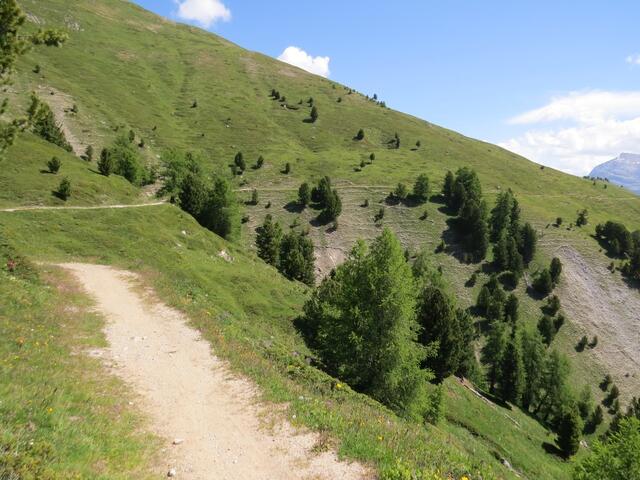 ...und durchqueren die Alpweiden der Alp Muntatsch