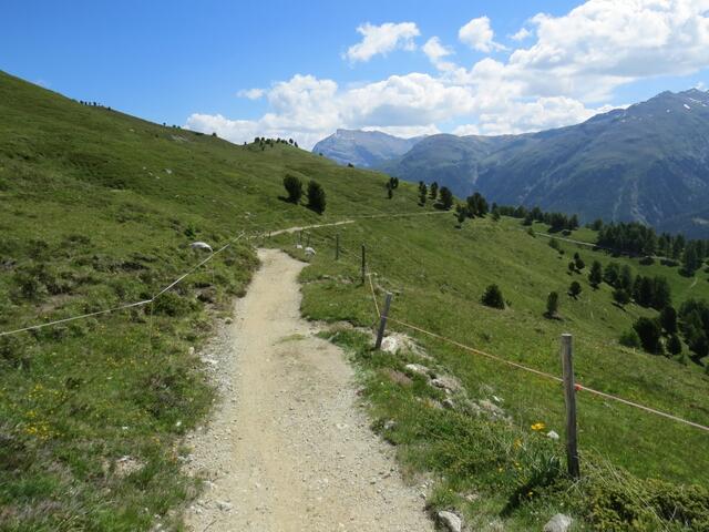 wir wandern nahezu eben auf gutem Weg...