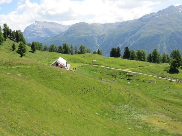 ...zur stattlichen Alp Muntatsch