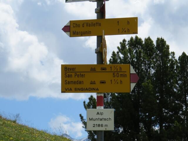 Wegweiser bei der Alp Muntatsch 2186 m.ü.M.