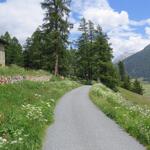 fast am Talboden entlang, laufen wir Richtung Bever