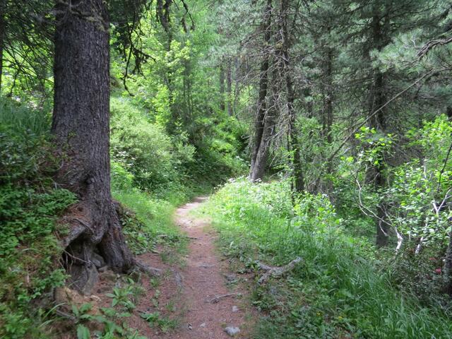 ...taleinwärts ins Val Bever