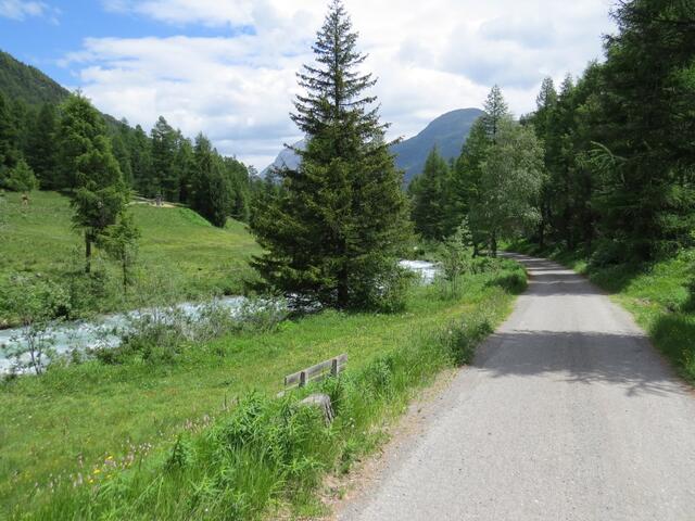 bei Punkt 1750 m.ü.M. stossen wir auf eine Strasse. Wir biegen rechts ab und laufen talauswärts Richtung Bever...