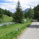 bei Punkt 1750 m.ü.M. stossen wir auf eine Strasse. Wir biegen rechts ab und laufen talauswärts Richtung Bever...