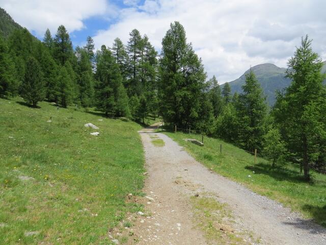 auf der anderen Bachseite bei Punkt 1738 m.ü.M. biegen wir rechts ab Richtung Bever