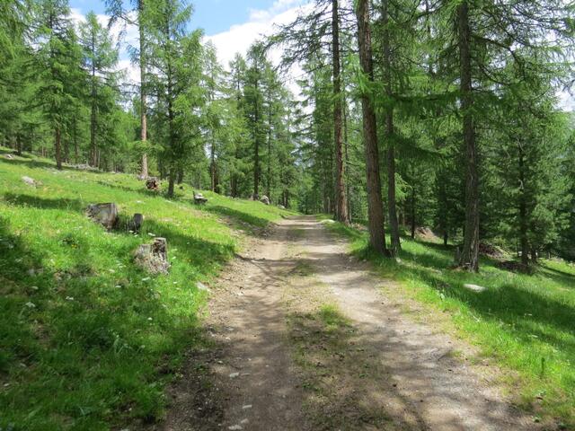 auf einer Schotterstrasse wandern wir nun weiter talauswärts