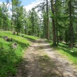 auf einer Schotterstrasse wandern wir nun weiter talauswärts