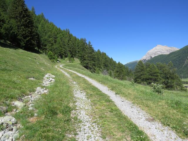 auf breiten Weg durch Wiesen verlassen wir Bever