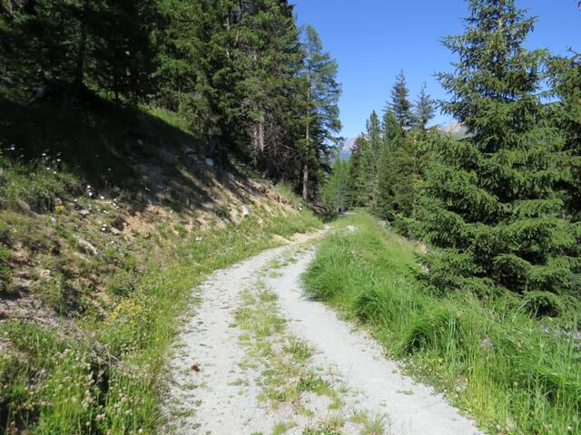 bei Punkt 1872 m.ü.M. wird der Wanderweg zu einer breiten Alpenstrasse