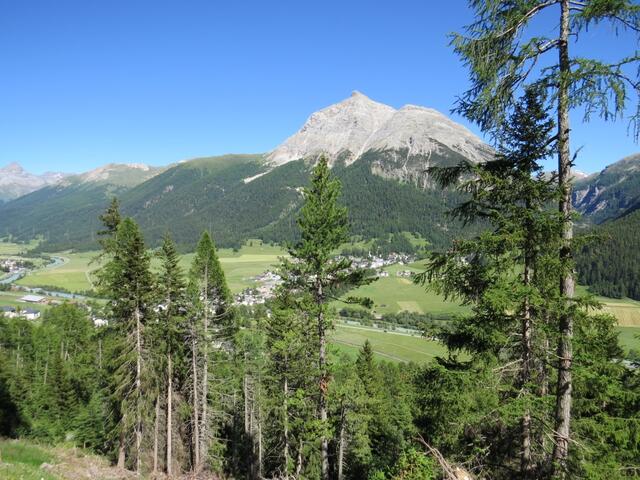 Blick auf Chamues-ch und Piz Mezzaun