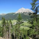 Blick auf Chamues-ch und Piz Mezzaun