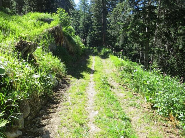 bei Acla Albertini 1817 m.ü.M. kann man rechts in kurzer Zeit nach La Punt gelangen