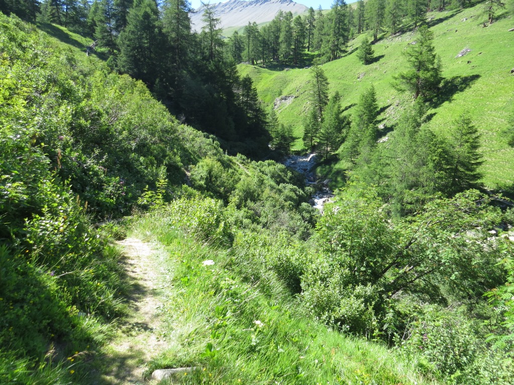 alles am Bach Ova d'Alvra entlang geht es aufwärts...