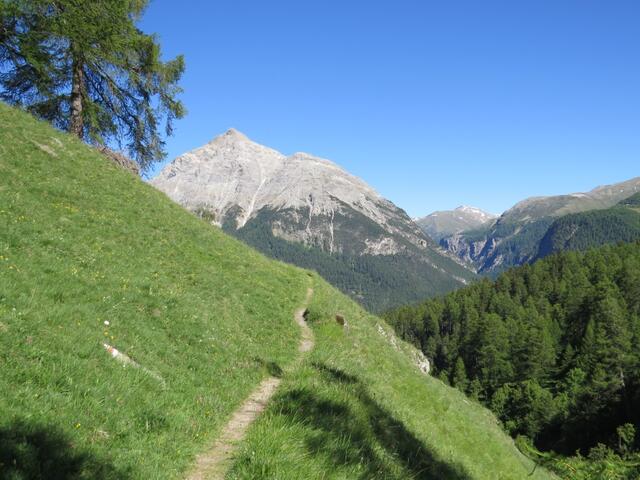 mit Blick auf den Piz Mezzaun wandern wir nun wieder talauswärts