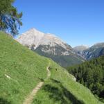 mit Blick auf den Piz Mezzaun wandern wir nun wieder talauswärts