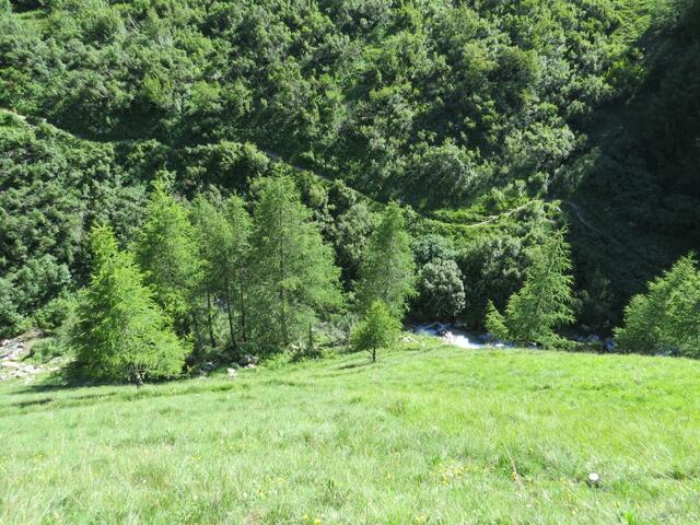 fast senkrecht fällt hier die Bergflanke in die Tiefe zum Bach Ova d'Alvra. Gut ersichtlich der Wanderweg