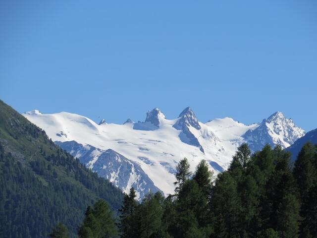 von hier blicken wir direkt zur La Sella im Berninamassiv