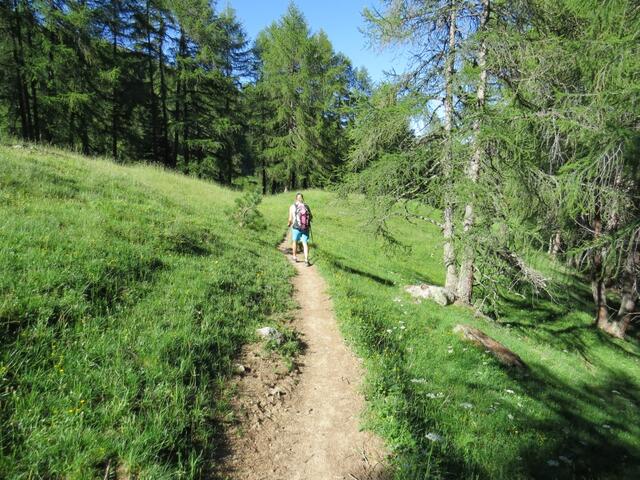 ...wir wandern aber weiter geradeaus Richtung Zuoz