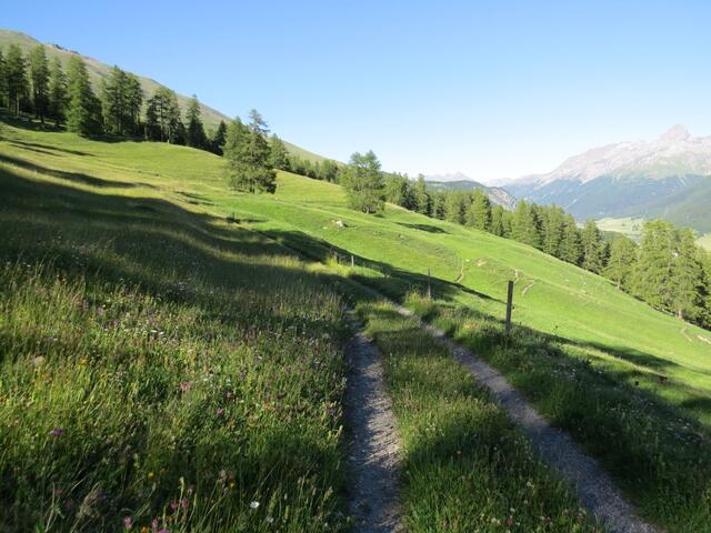 wir verlassen den Wald und gleichzeitig das Tal von Es-cha und wandern nun durch eine schöne Lichtung