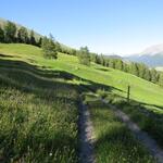 wir verlassen den Wald und gleichzeitig das Tal von Es-cha und wandern nun durch eine schöne Lichtung