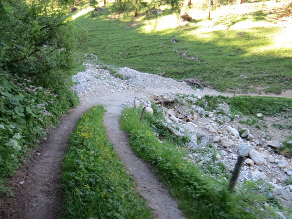 weiter geht es wieder durch einen Wald wo wir danach den Wasserlauf von Vallatscha überqueren