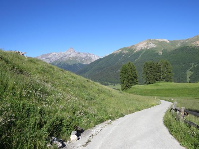 vorbei an Punkt 1879 m.ü.M. geht es Richtung Cuort San Gian 1837 m.ü.M.