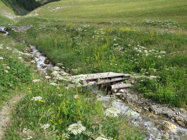 bei Punkt 1799 m.ü.M. überqueren wir über diese Holzbrücke einen kleinen Bach