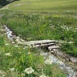 bei Punkt 1799 m.ü.M. überqueren wir über diese Holzbrücke einen kleinen Bach