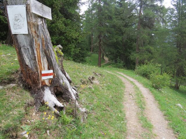 anstelle nach Chapella runter zu laufen, biegen wir stark nach links ab Richtung Susauna