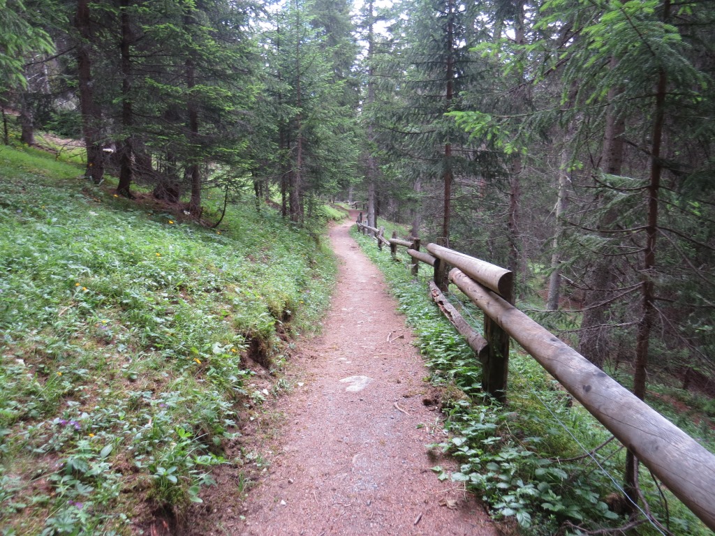 durch den schönen Wald von God Fullun geht es nun Taleinwärts in das Val Susauna