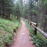 durch den schönen Wald von God Fullun geht es nun Taleinwärts in das Val Susauna