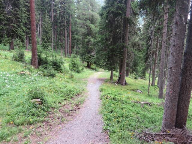 über den schön angelegten Waldweg...