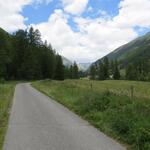 auf einer Asphaltstrasse biegen wir stark nach links in das Tal hinein