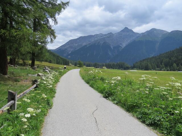 auf der Via Engiadina, gleichzeitig auch auf dem Jakobsweg, wandern wir nun talauswärts