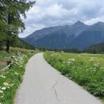 auf der Via Engiadina, gleichzeitig auch auf dem Jakobsweg, wandern wir nun talauswärts