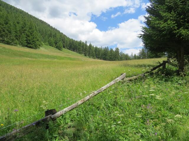 über sehr schöne Weiden lassen wir La Resgia hinter uns