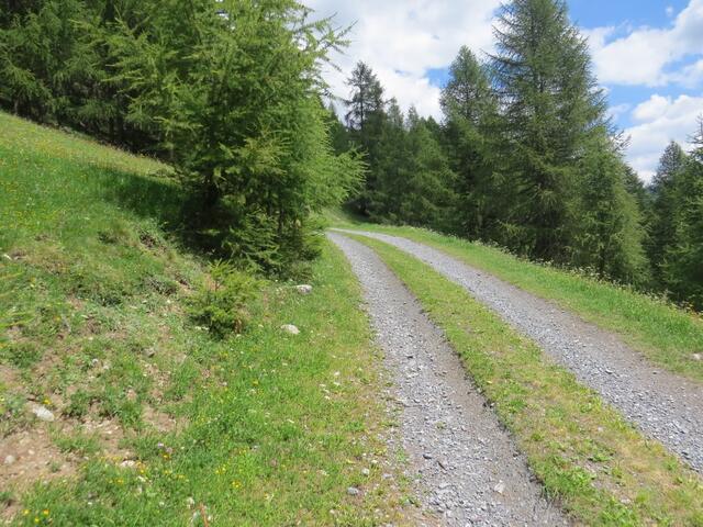 bei der Weggabelung Punkt 1708 m.ü.M. wandern wir auf der Forststrasse weiter ostwärts geradeaus