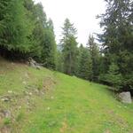 bei der nächsten Weggabelung lassen wir den linksabzweigenden Weg zur Alp Dros Bunom unbeachtet...