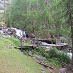 unterhalb der Alp Dros Bunom erreichen wir eine kleine Holzbrücke