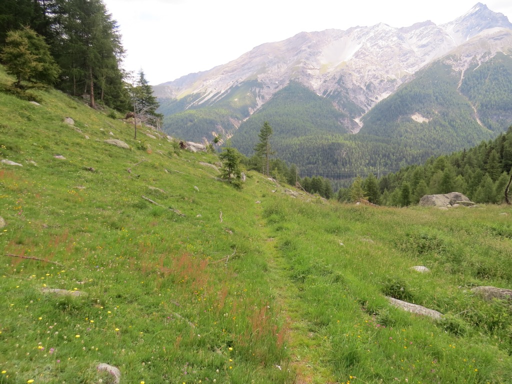 nach dem überschreiten des Baches biegen wir rechts ab und wandern talauswärts