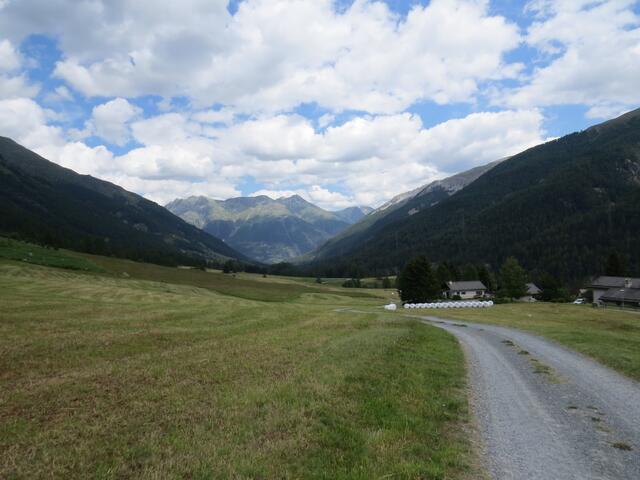 bei Cuschinait 1681 m.ü.M. was für eine schöne Aussicht auf das Unterengadin und Richtung Zernez