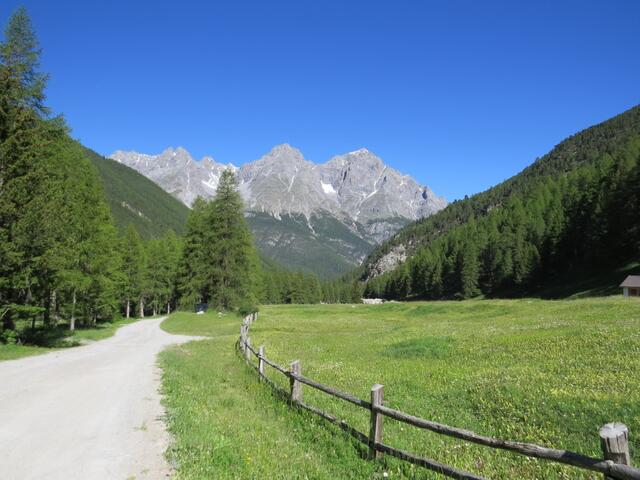 ...wandern wir zuerst mit Blick auf den Piz Pisoc und Lavetscha ein kurzes Stück talauswärts der Fahrstrasse entlang