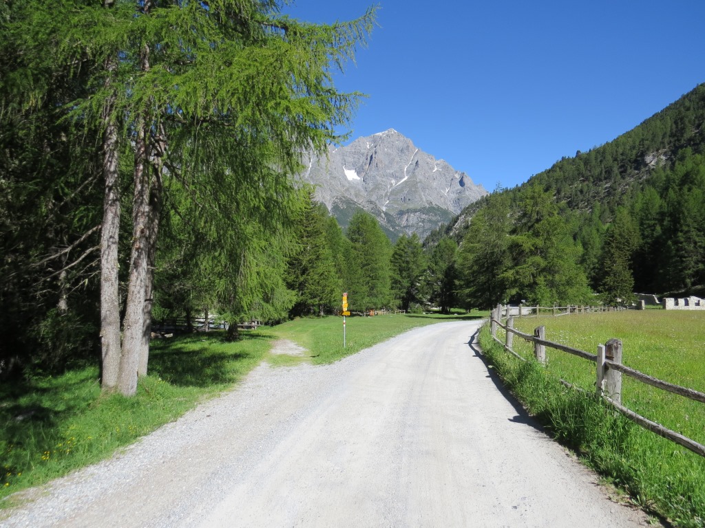 kurz vor dem Bergwerkmuseum biegt links der Weg...
