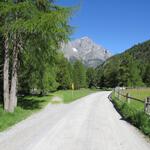 kurz vor dem Bergwerkmuseum biegt links der Weg...